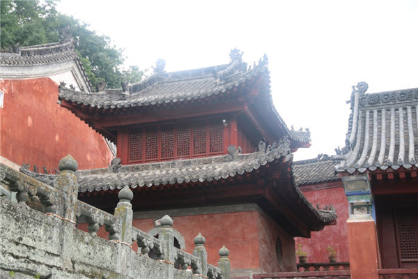 今泰裝飾出游記 | 我們有一千種姿勢玩出精彩！(圖5)