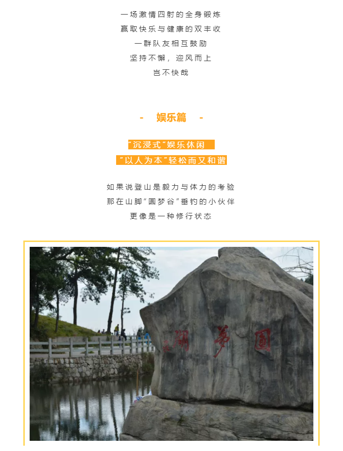 秋天了，來一場成年人的秋游吧(圖4)