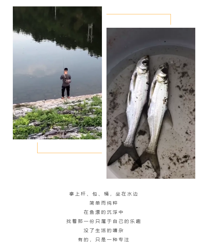 秋天了，來一場成年人的秋游吧(圖5)