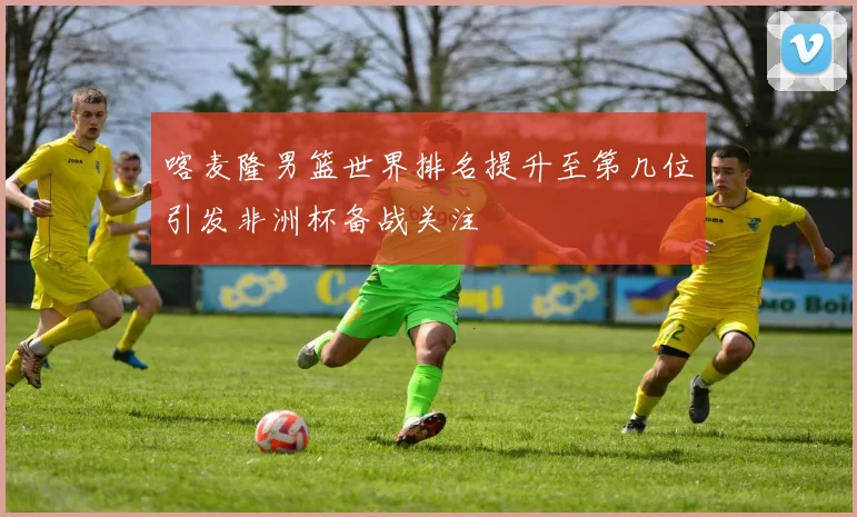 喀麦隆男篮世界排名提升至第几位引发非洲杯备战关注
