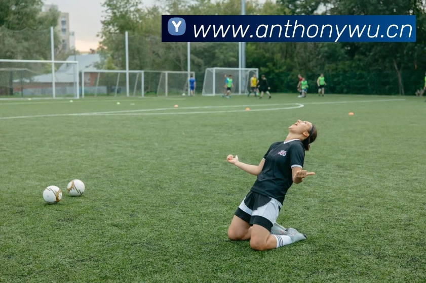 熊猫体育中国官方网站平台生态图